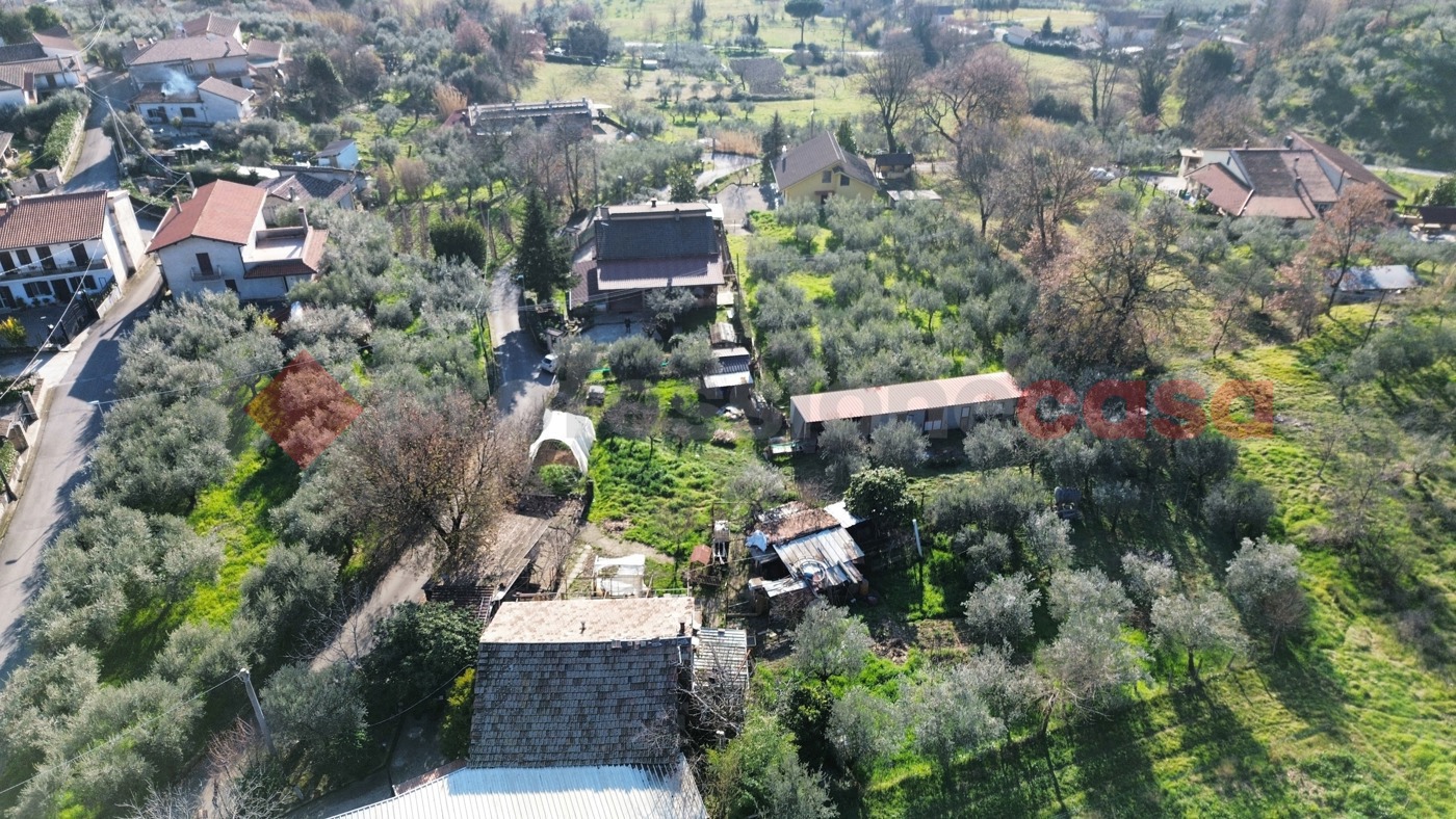 Foto annuncio 24