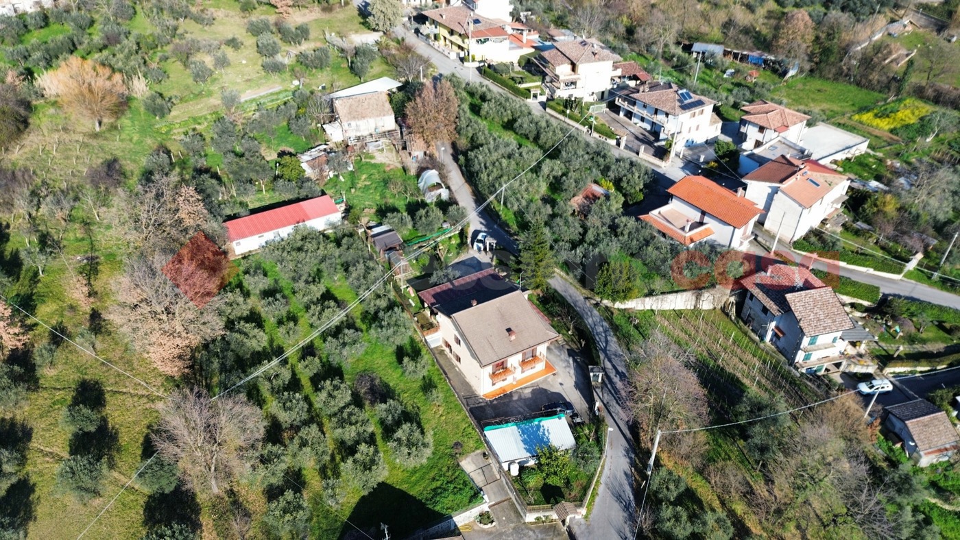 Foto annuncio 26