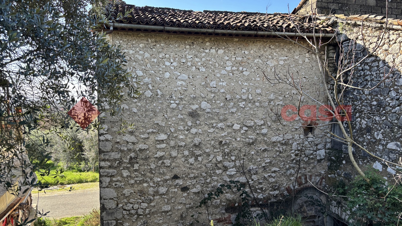 Foto annuncio 9