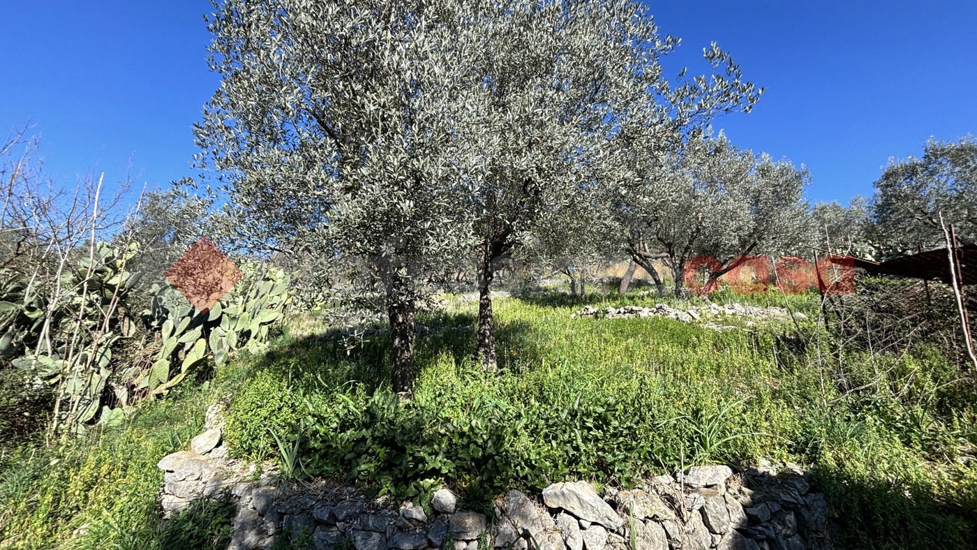Foto annuncio 11
