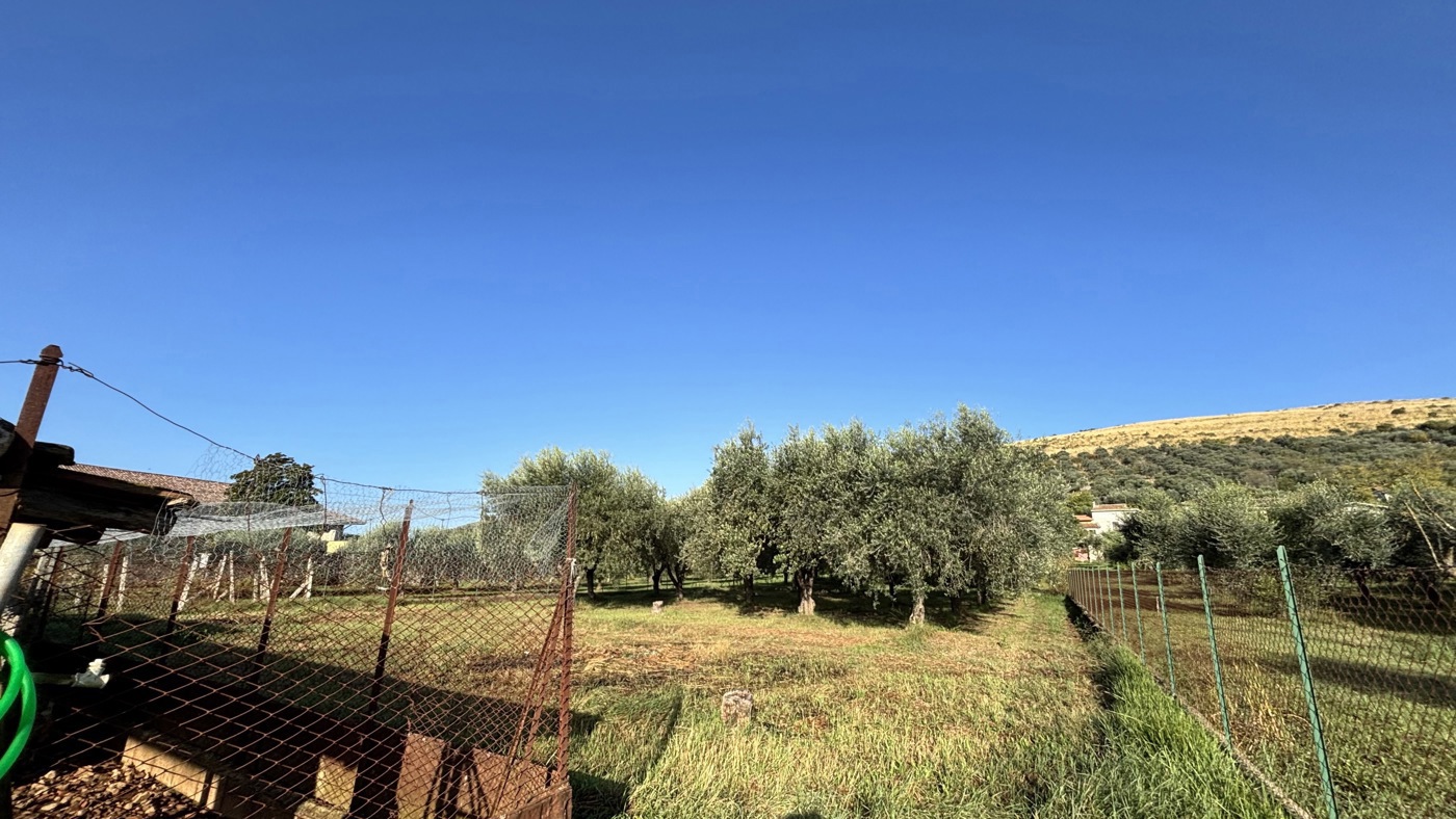 Foto annuncio 11