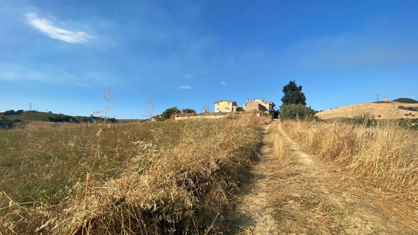 Foto annuncio 2