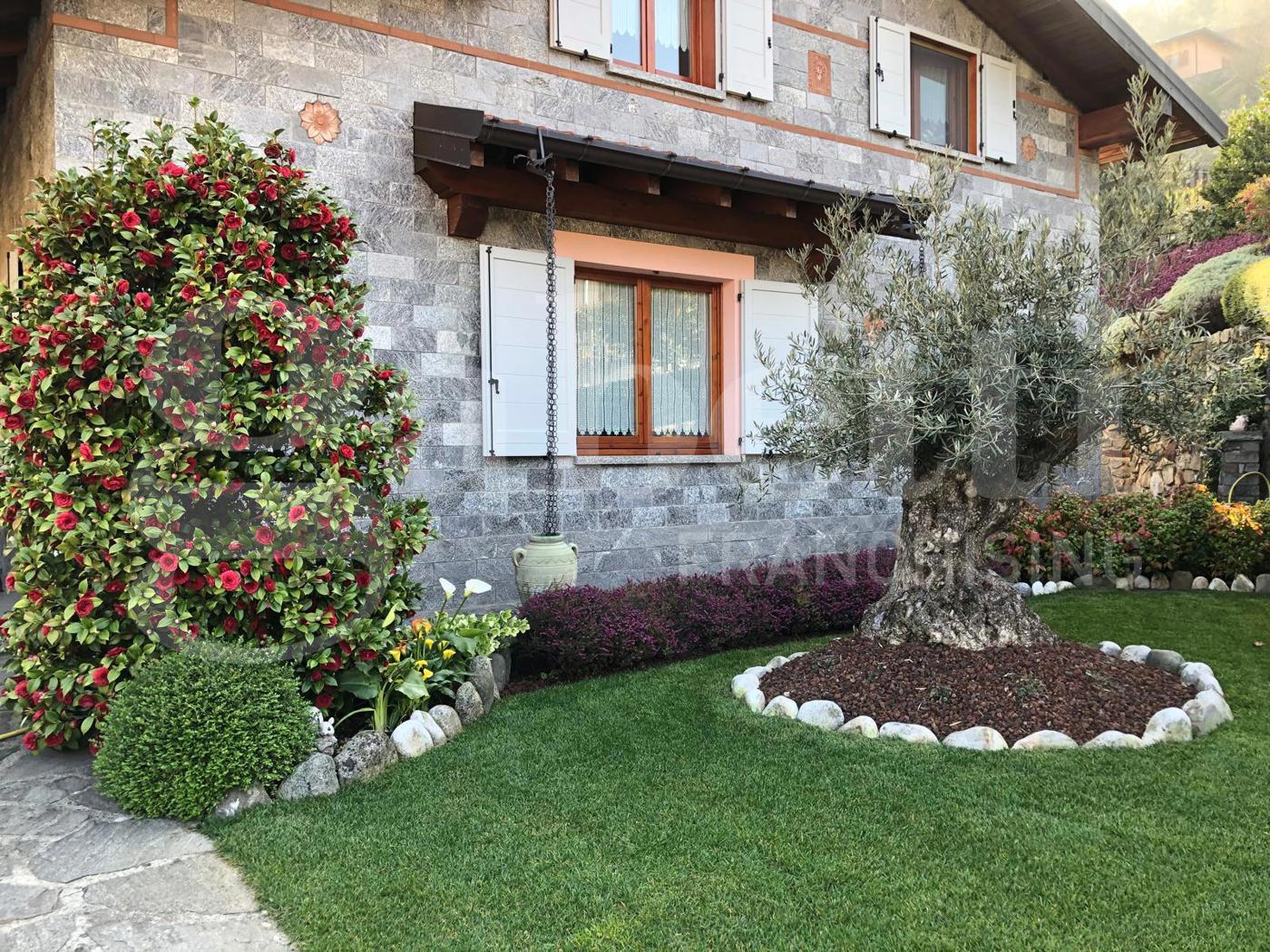 Foto annuncio 2