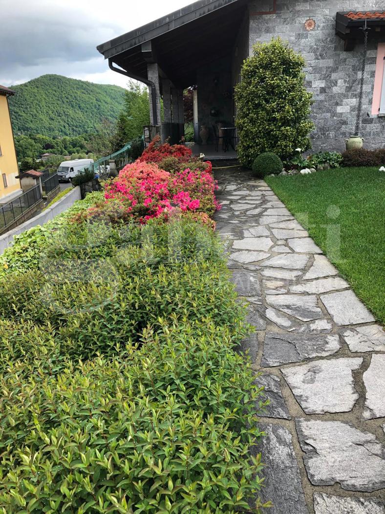 Foto annuncio 16