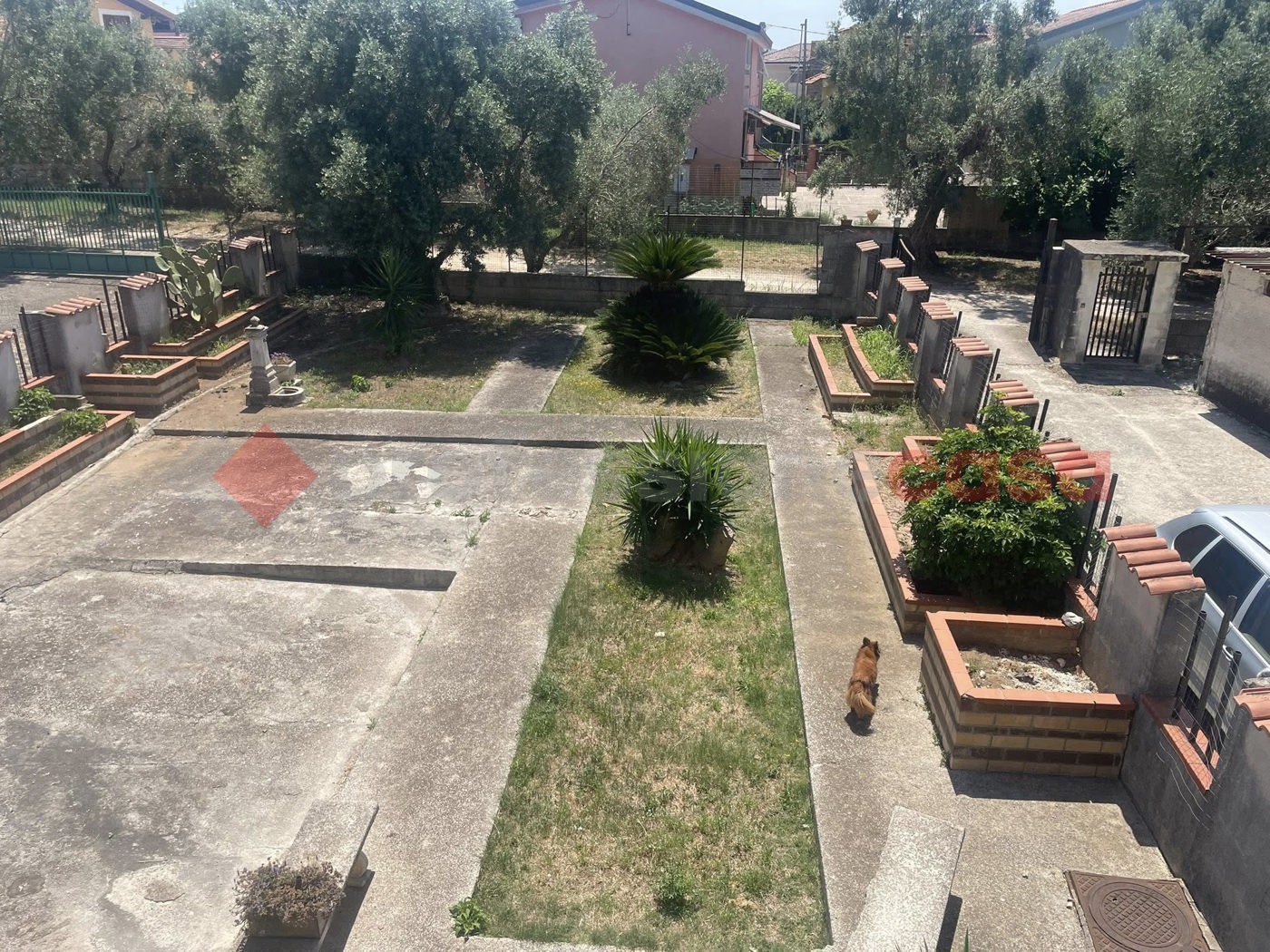 Foto annuncio 1