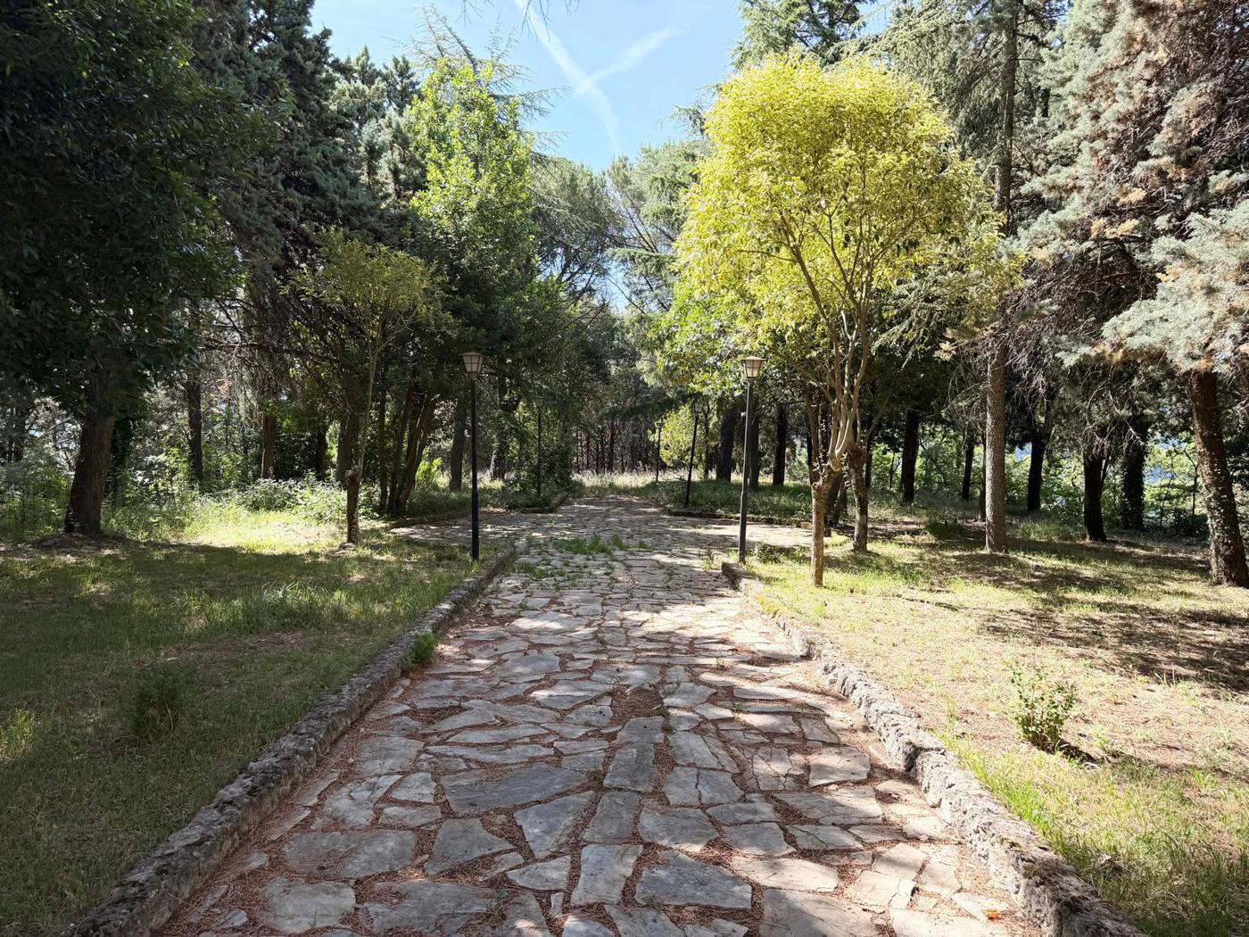 Foto annuncio 9