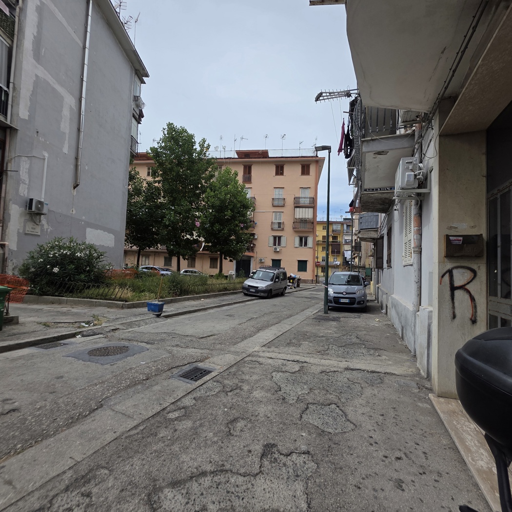 Foto annuncio 6