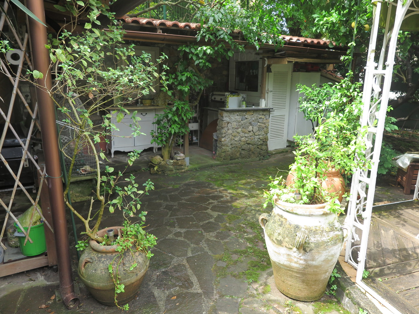 Foto annuncio 6