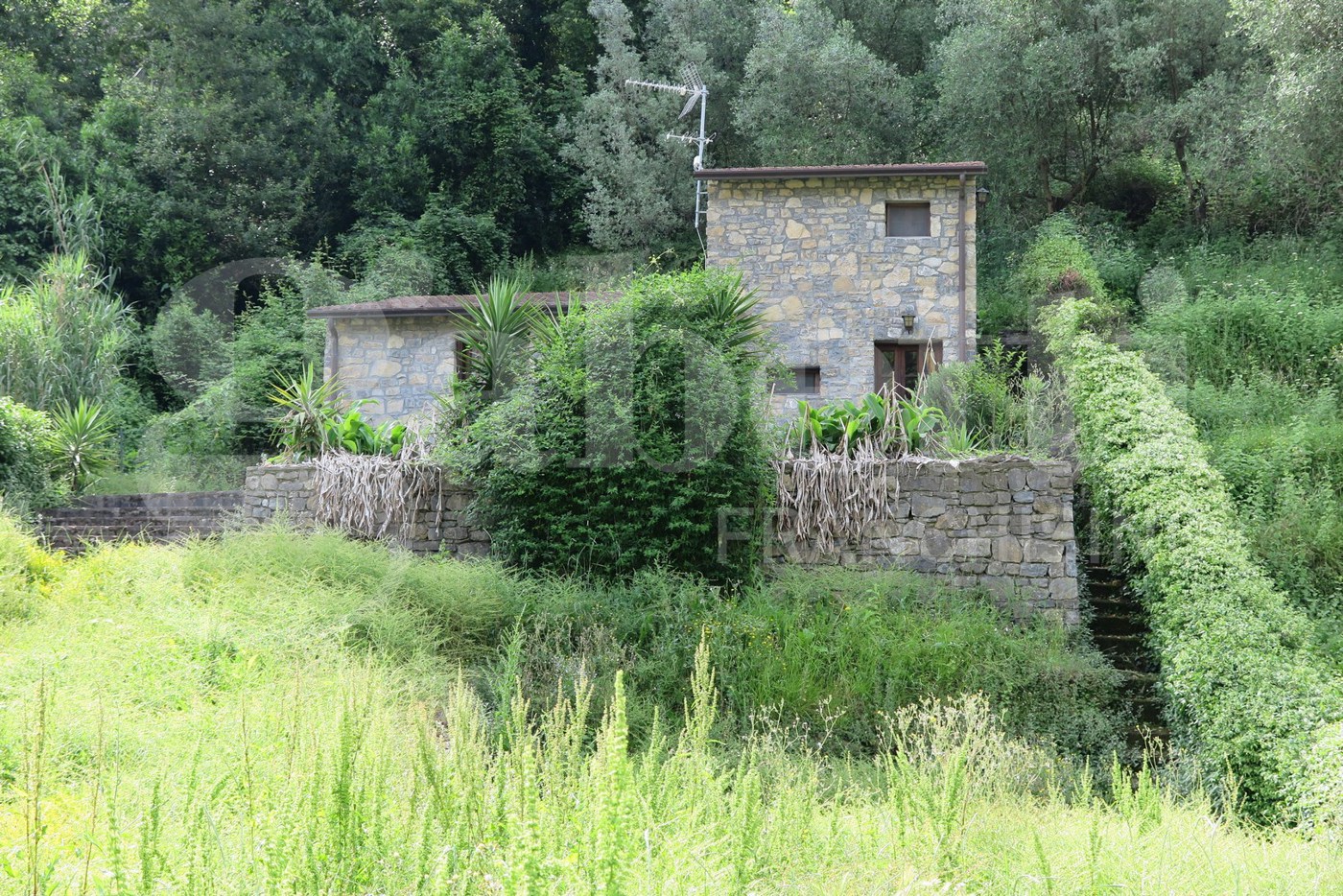Foto annuncio 2
