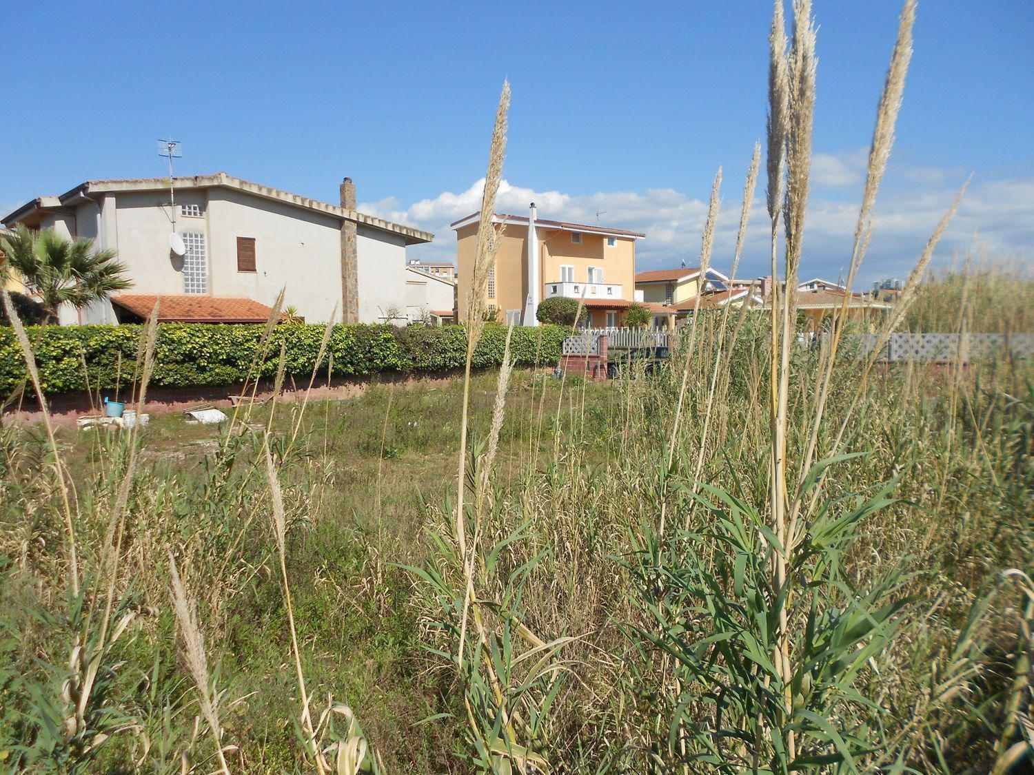 Foto annuncio 6