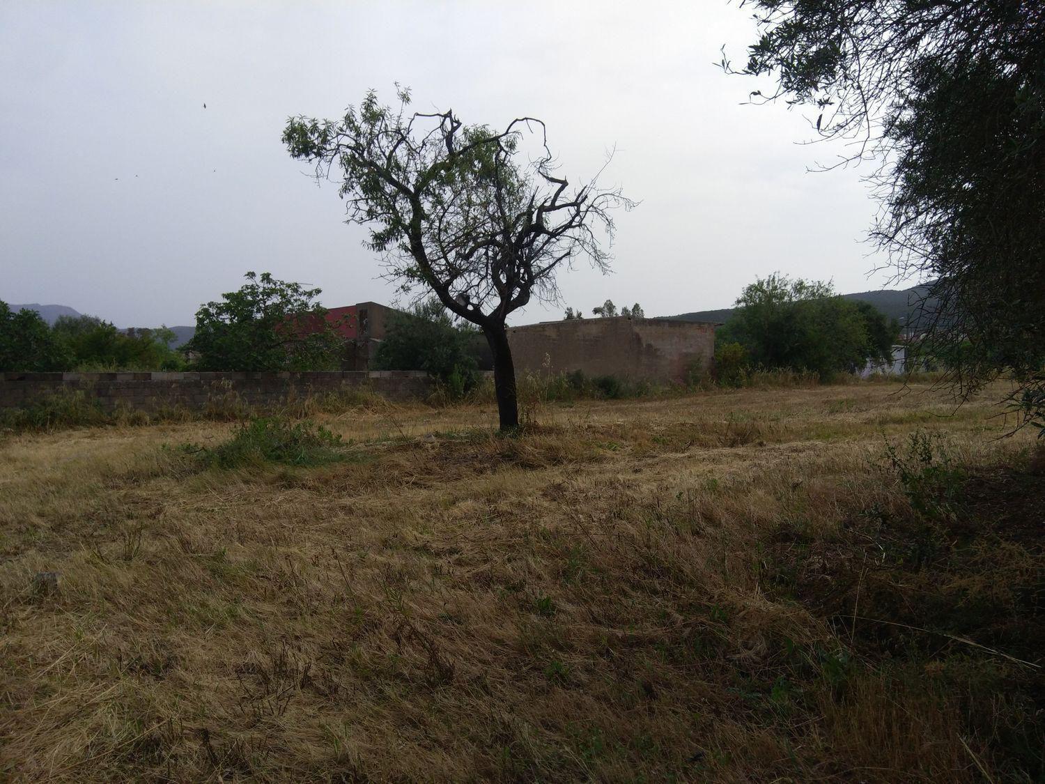 Foto annuncio 4