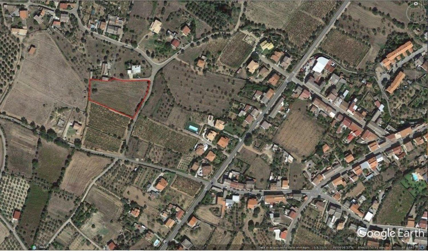 Foto annuncio 7