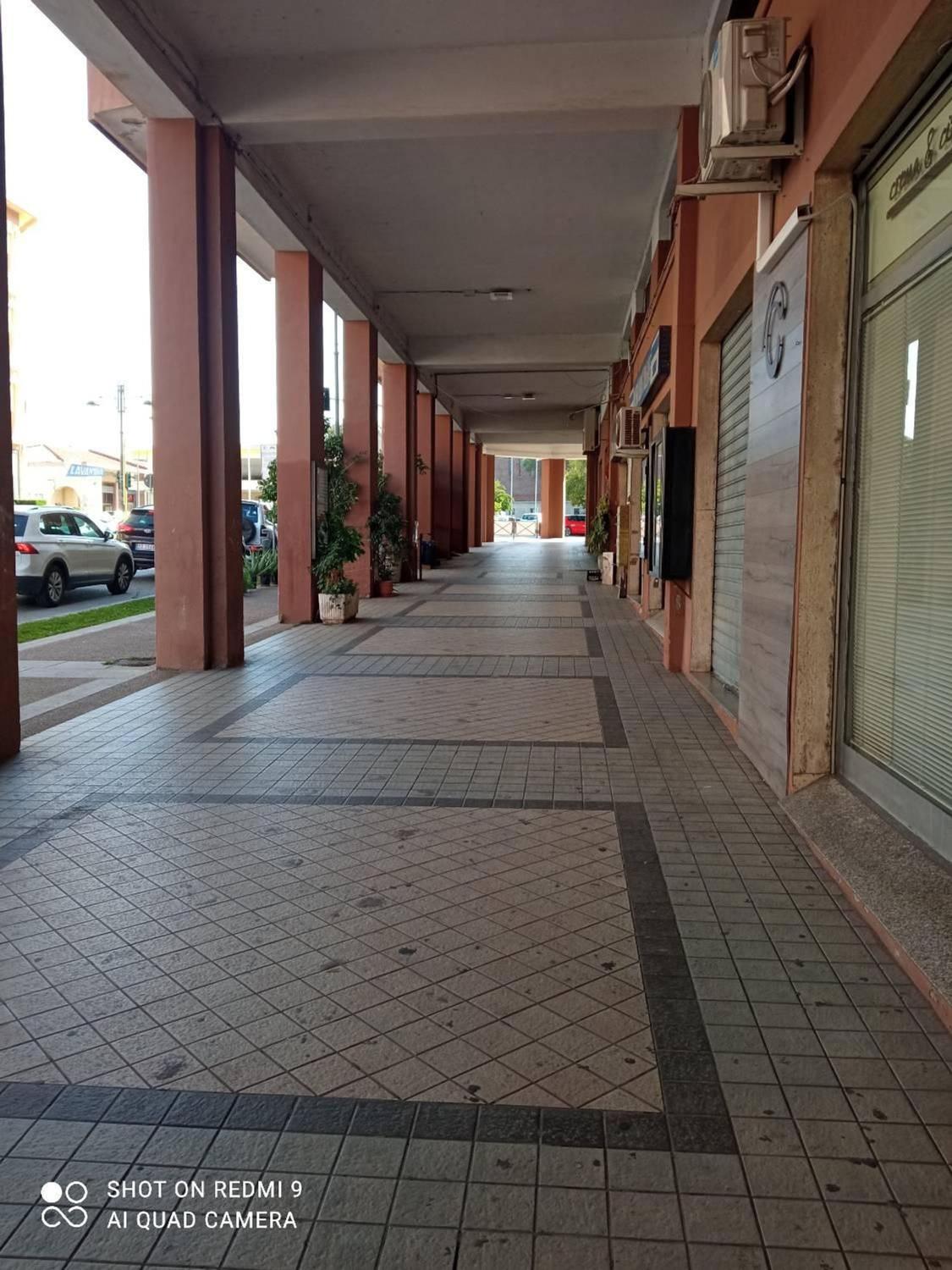 Foto annuncio 7